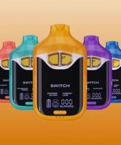 Boutiq switch V4