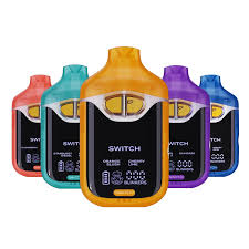 2G BOUTIQ SWITCH
