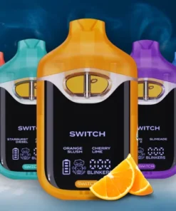 Boutiq switch V4